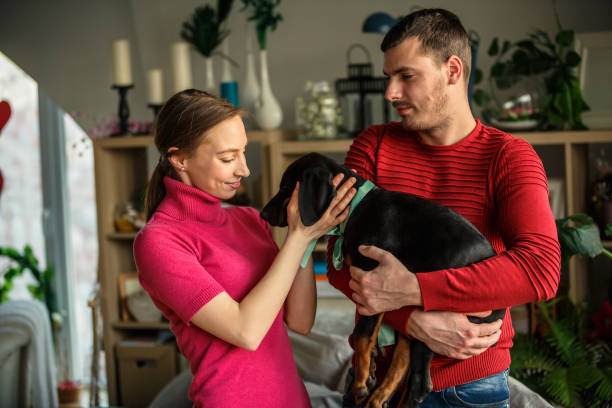 dachshundpuppieshome