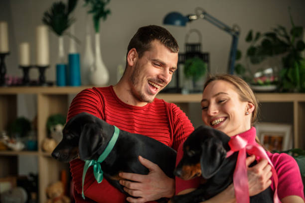 dachshundpuppieshome